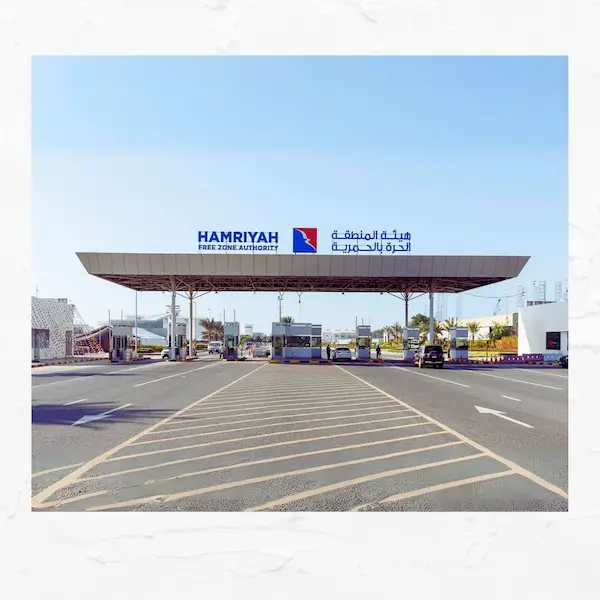 Chipin IT Services History 2009