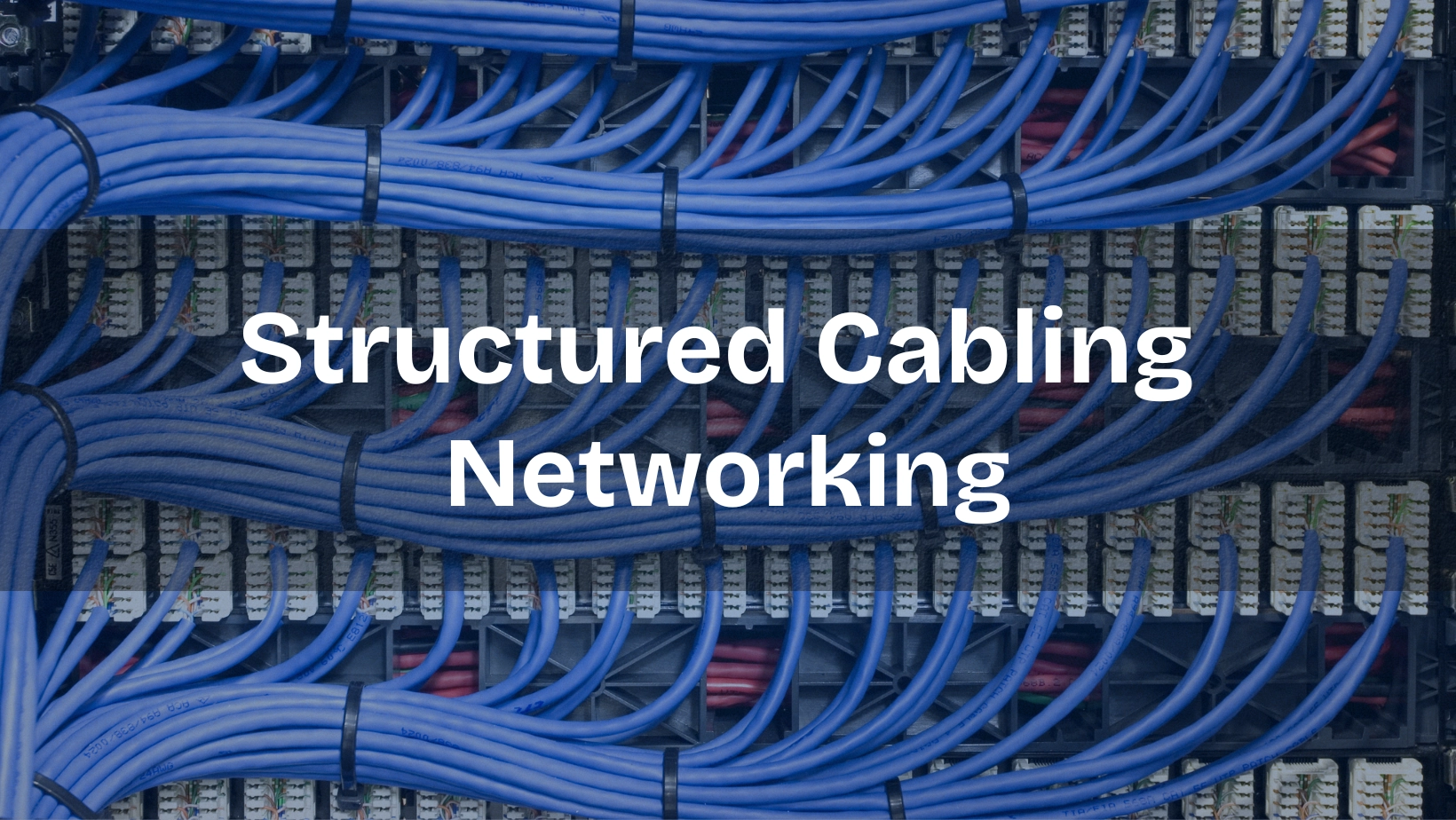 Structured Cabling Services in Dubai | 24/7 IT Experts